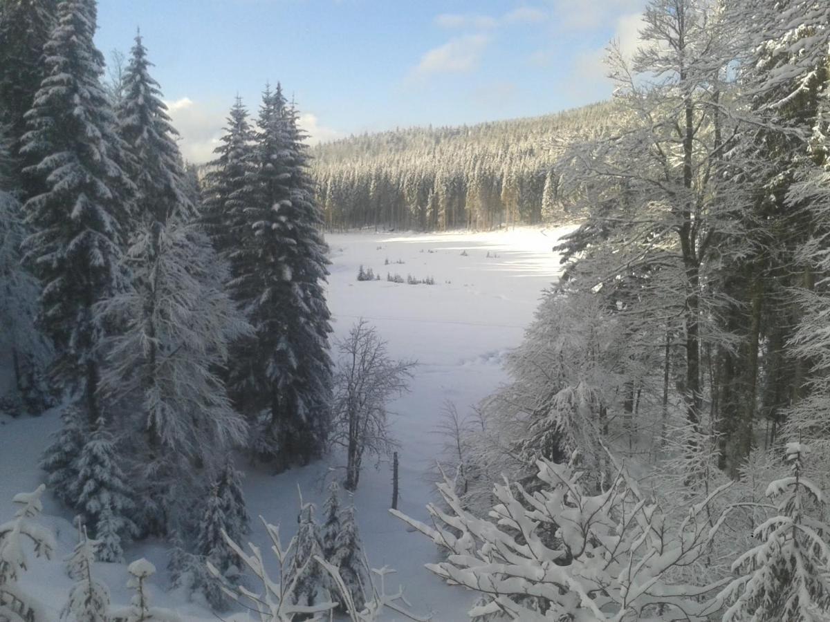 La Bressaude - Vacances-En-Vosges - Menage Compris ลาแบรส ภายนอก รูปภาพ