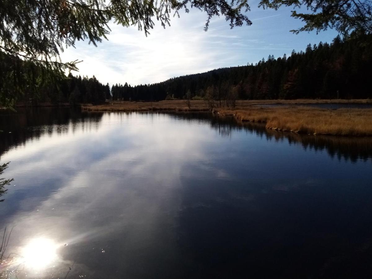 La Bressaude - Vacances-En-Vosges - Menage Compris ลาแบรส ภายนอก รูปภาพ