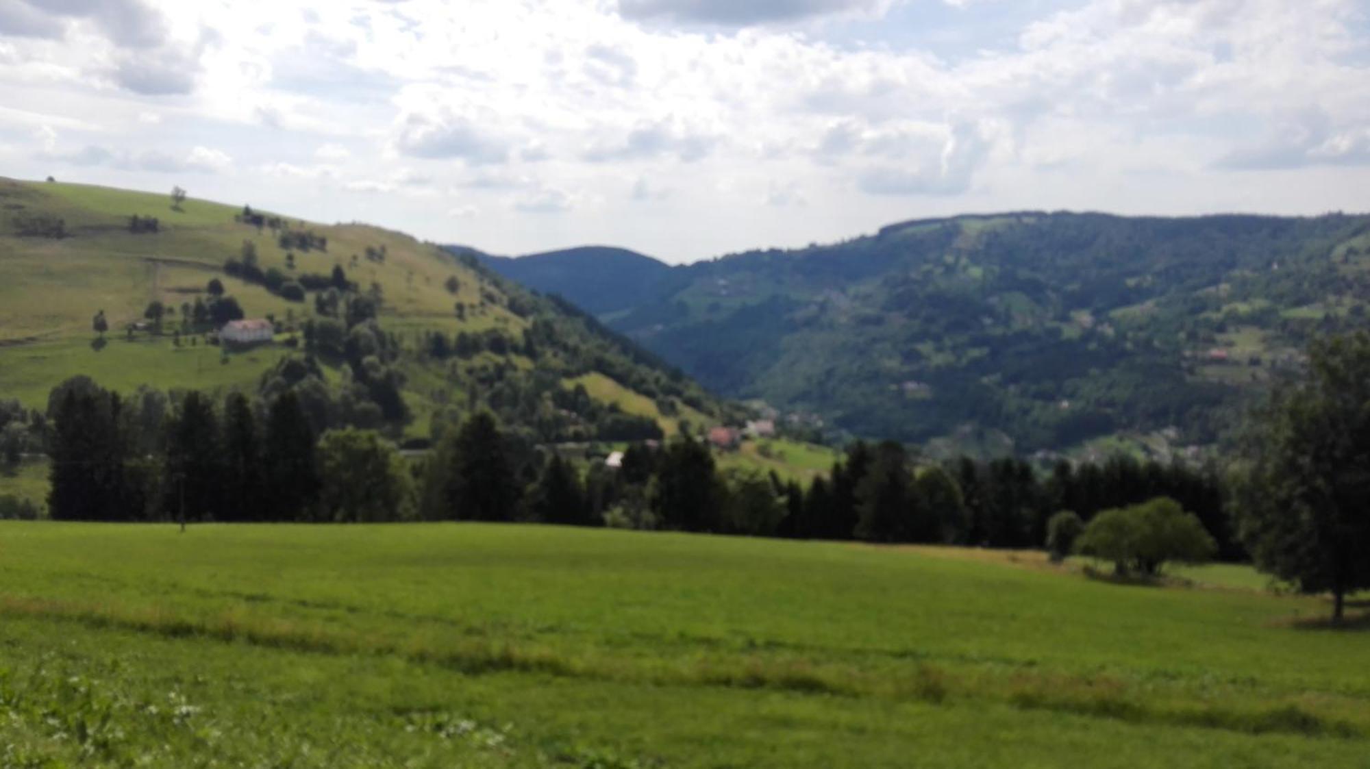 La Bressaude - Vacances-En-Vosges - Menage Compris ลาแบรส ภายนอก รูปภาพ