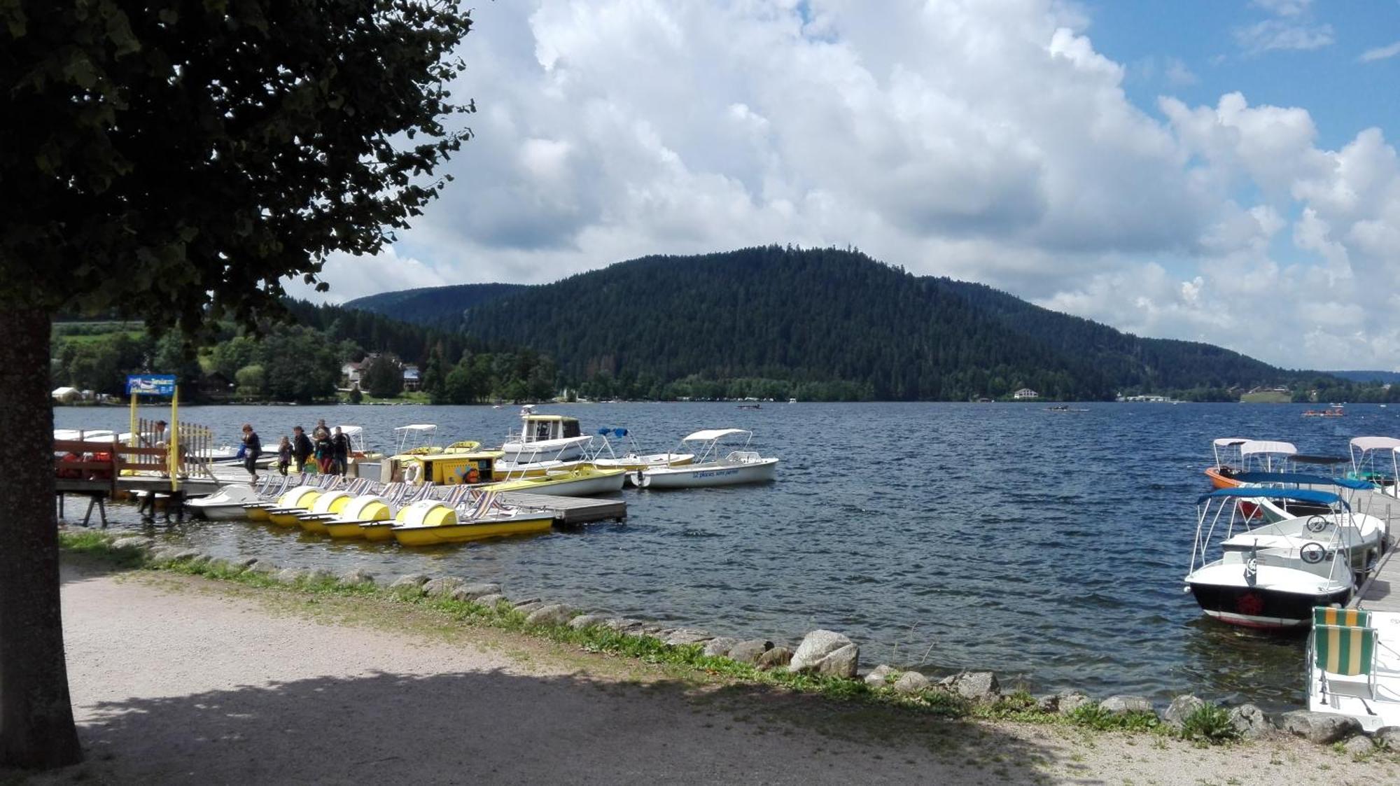 La Bressaude - Vacances-En-Vosges - Menage Compris ลาแบรส ภายนอก รูปภาพ