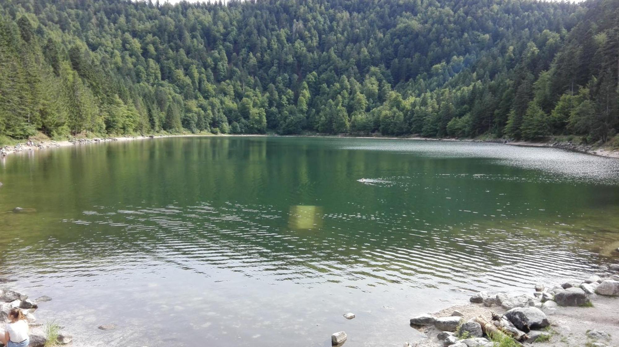La Bressaude - Vacances-En-Vosges - Menage Compris ลาแบรส ภายนอก รูปภาพ
