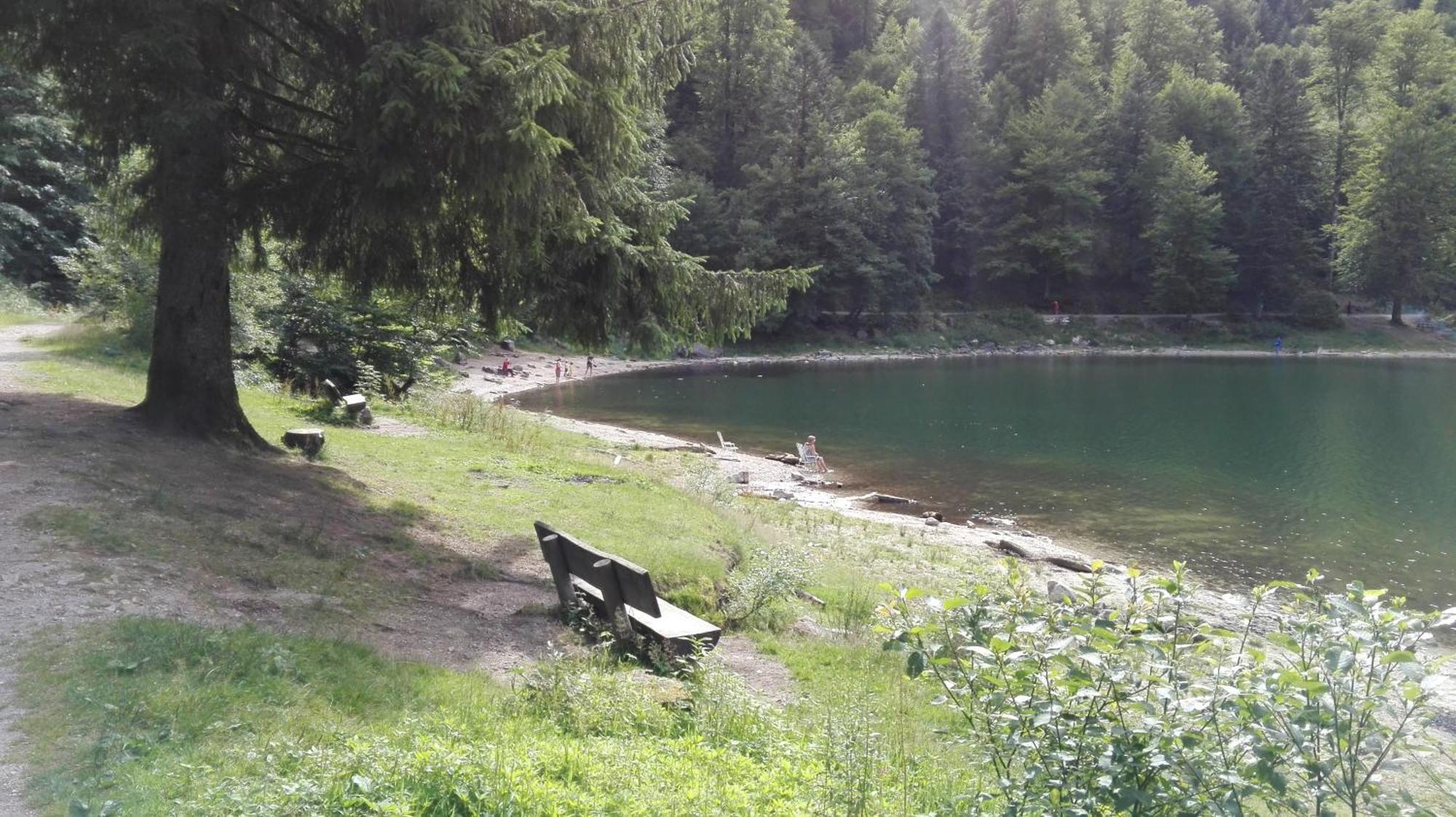 La Bressaude - Vacances-En-Vosges - Menage Compris ลาแบรส ภายนอก รูปภาพ