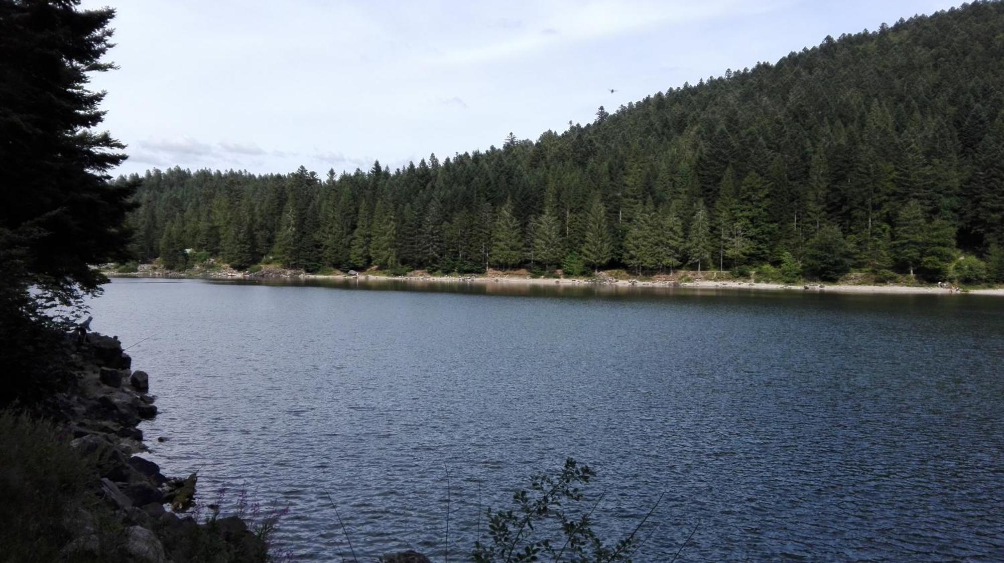 La Bressaude - Vacances-En-Vosges - Menage Compris ลาแบรส ภายนอก รูปภาพ