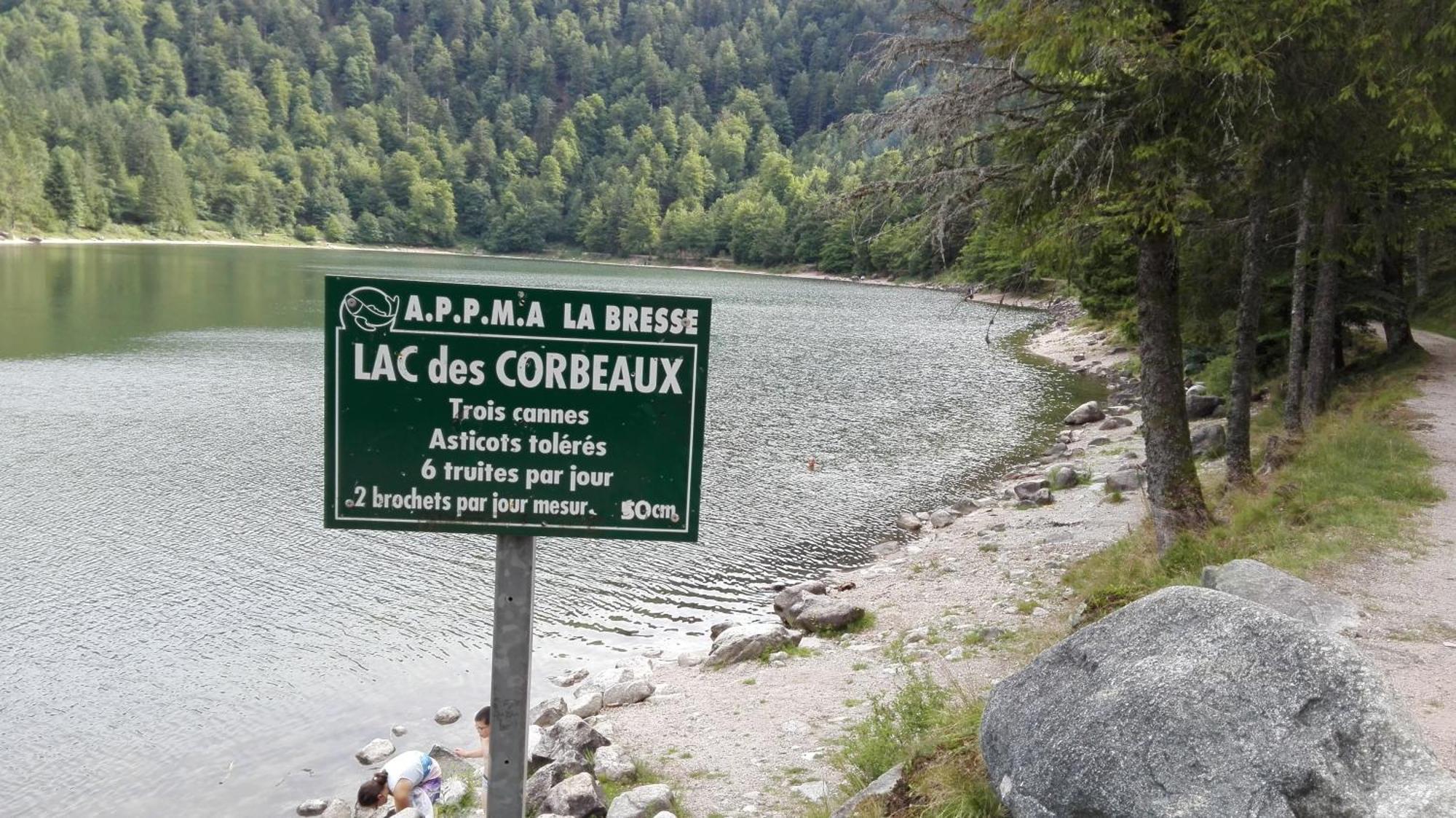 La Bressaude - Vacances-En-Vosges - Menage Compris ลาแบรส ภายนอก รูปภาพ