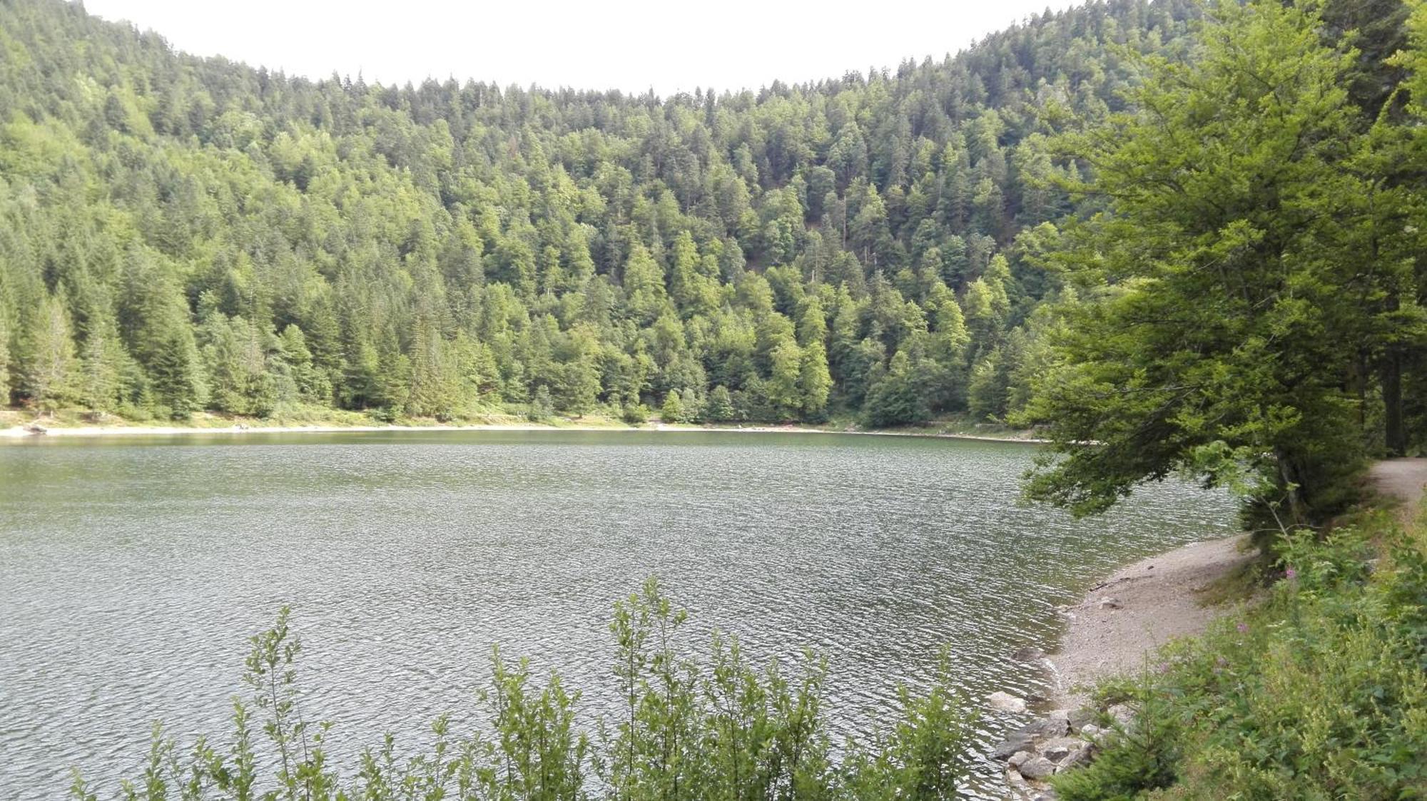 La Bressaude - Vacances-En-Vosges - Menage Compris ลาแบรส ภายนอก รูปภาพ