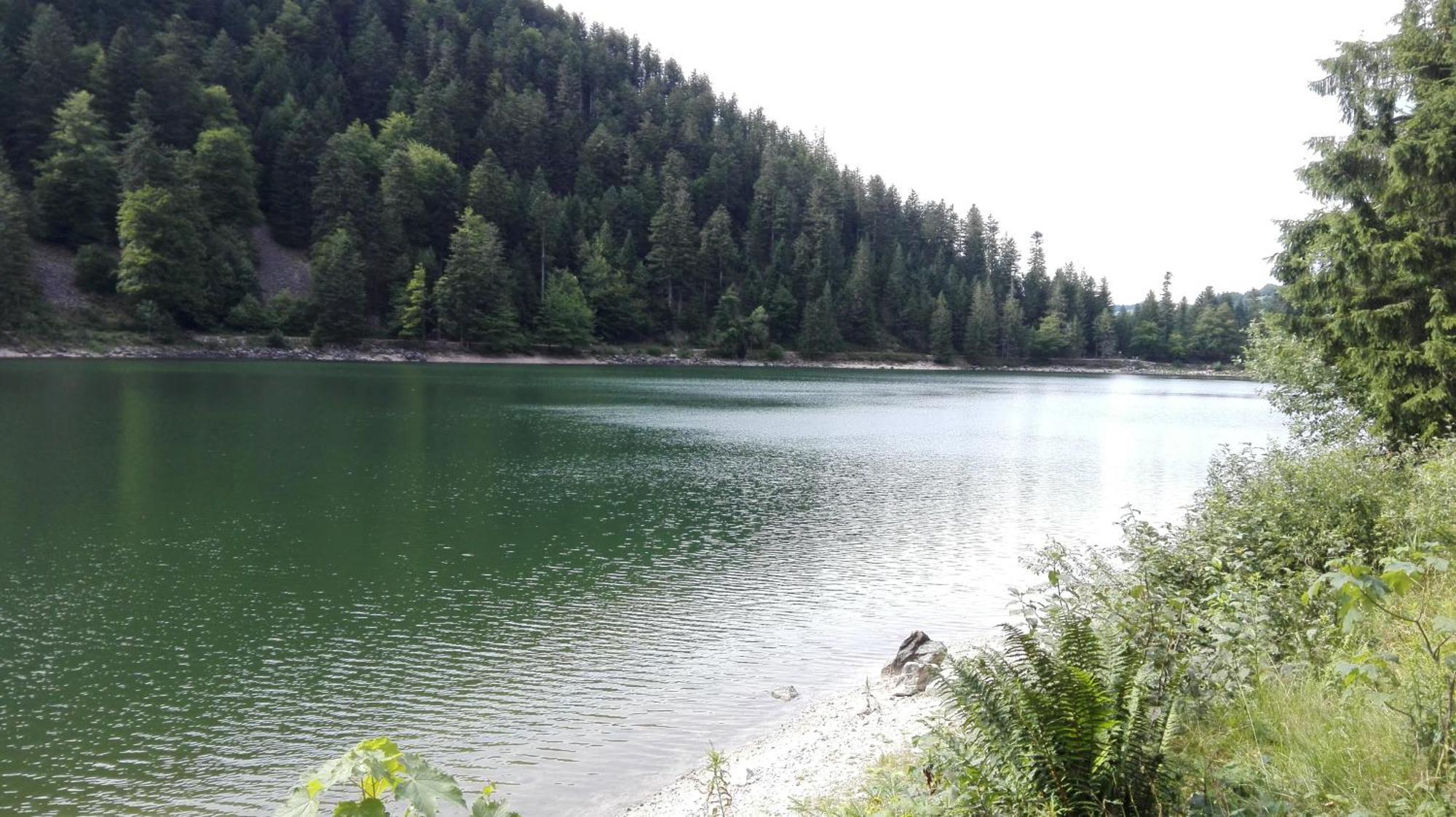 La Bressaude - Vacances-En-Vosges - Menage Compris ลาแบรส ภายนอก รูปภาพ