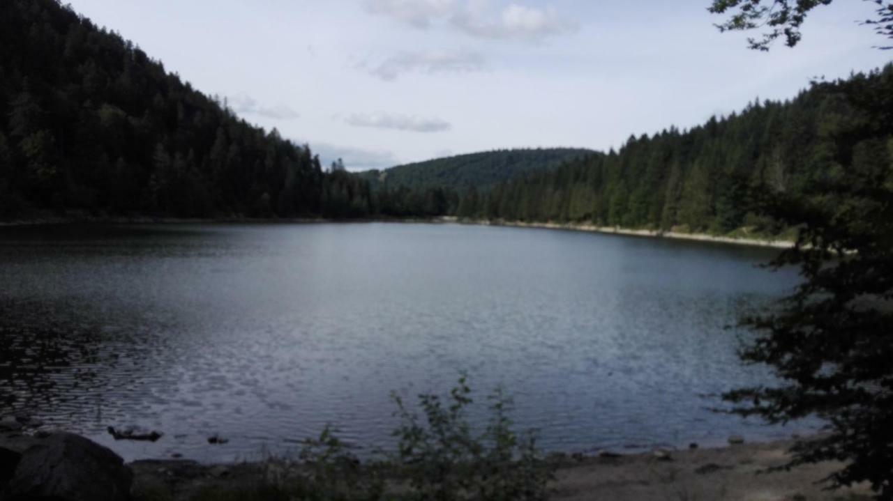 La Bressaude - Vacances-En-Vosges - Menage Compris ลาแบรส ภายนอก รูปภาพ